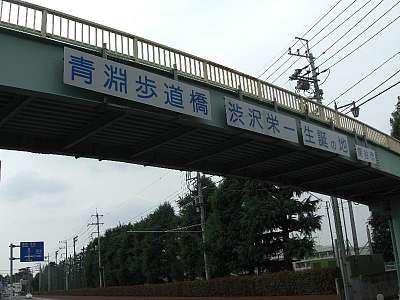 歩道橋東