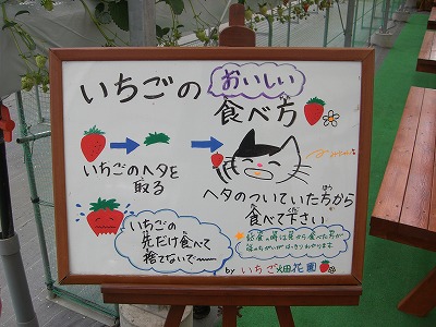 花園イチゴ食べ方.jpg