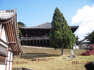 2月どう