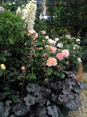 イングリッシュガーデン5