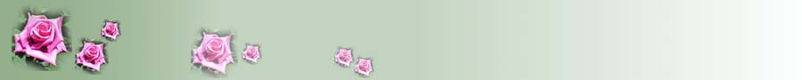 rose_191bgc_l.JPG