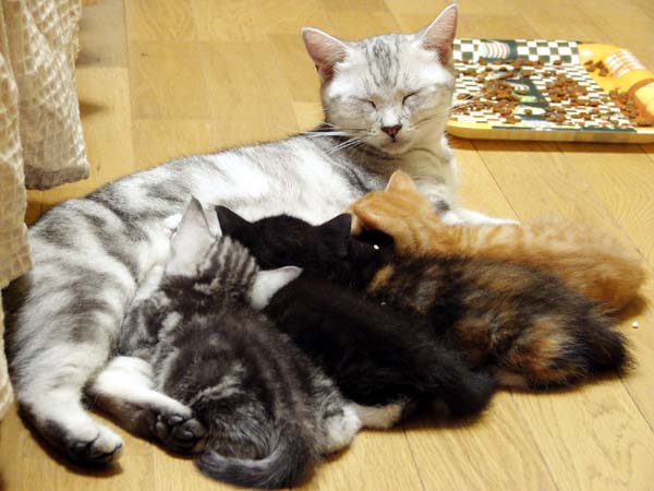 mama_kids2