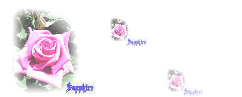 rose_184bgc_l.JPG