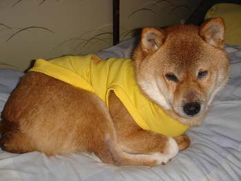 画像 002.jpg