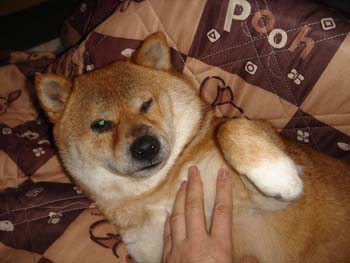 画像 005.jpg