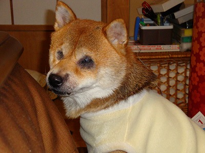 s-画像 006.jpg