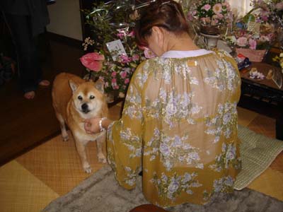 riki