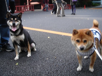 s-画像 004.jpg