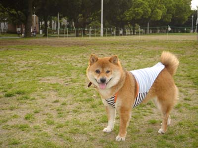 画像 060.jpg