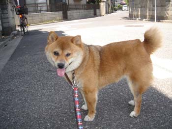 画像 002.jpg