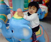 だんぼ