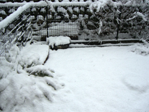 大雪2008.2