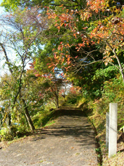 小道（岩村）