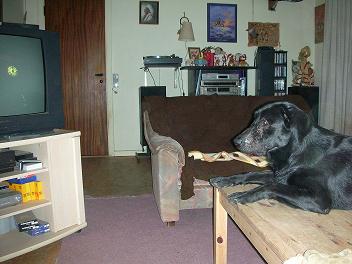 DSCN2801.JPG