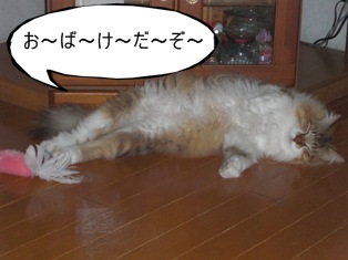 2010/7/30