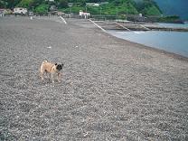 小土肥海水浴場にて