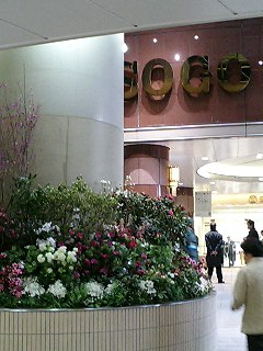 sogo3