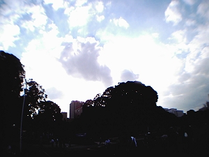 061014_009
