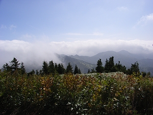 060925_渋峠綺麗002