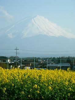 nanohanafuji.JPG