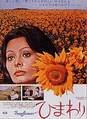 ひまわり