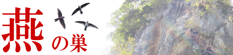 ツバメの巣でココロ・カラダ・キレイ