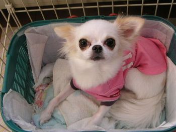 お友達のおうちのク～ちゃん♪