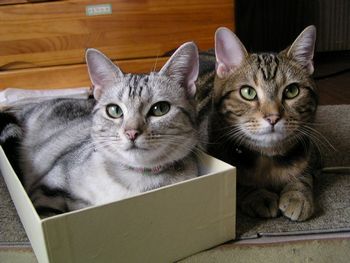 おすまし～そら＆いちご♪