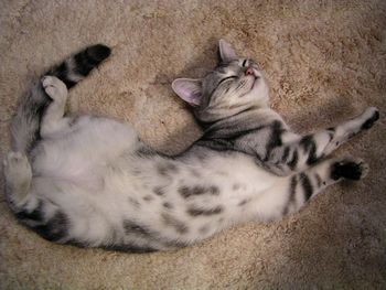 いちごの寝相・・★