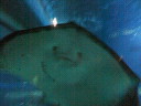 200607291344000.jpg