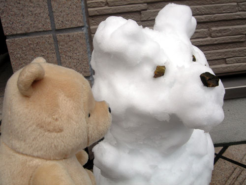 2008_2_3_002.jpg