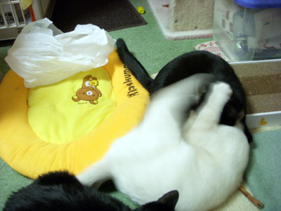 1-13-15-soul&karin.jpg