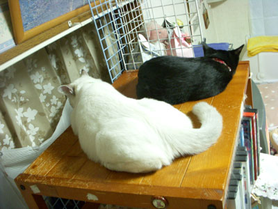 10-18-2-soul&karin.jpg