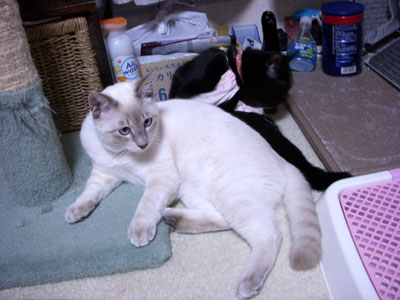 1-3-2-soul&karin.jpg
