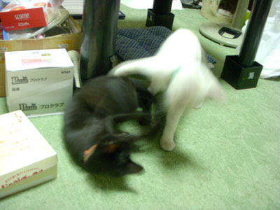 9-4-11-karin&soul.jpg