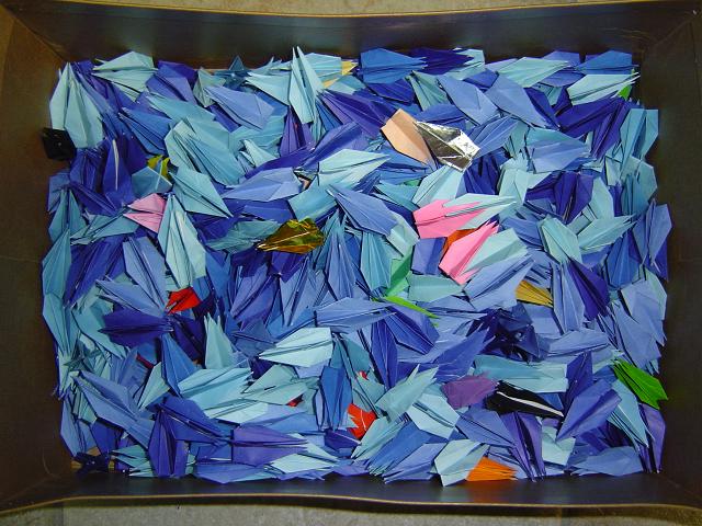 鶴福島県Ｎ、Ｙさん