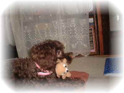 DSCF0038.JPG