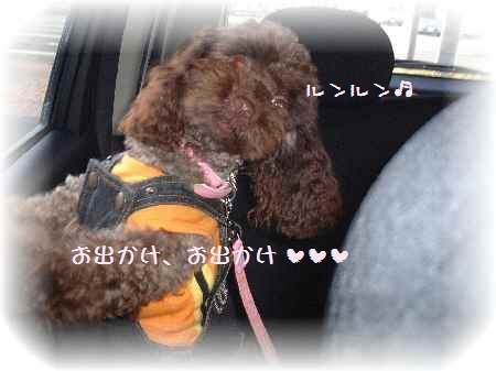 DSCF0014.JPG