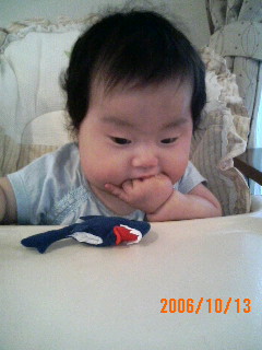 これも食べられるのかなぁ・・・？.jpg