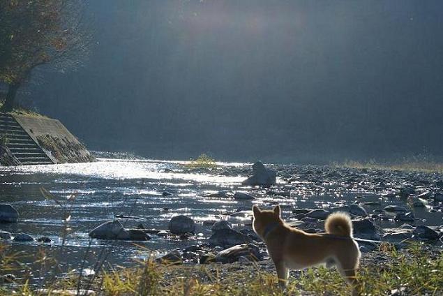 美しい地球。。