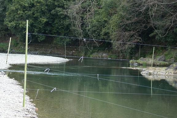 どうしたの？？