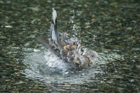 きもちいい～＾＾～　
