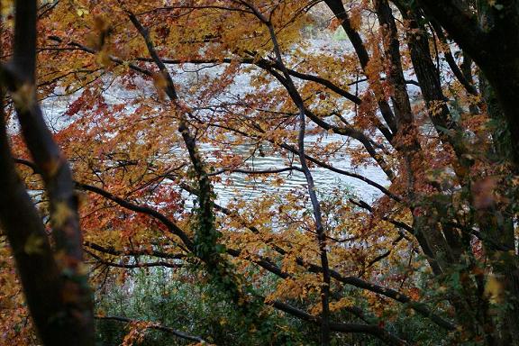 川面･秋