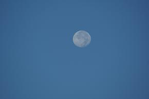 朝の月