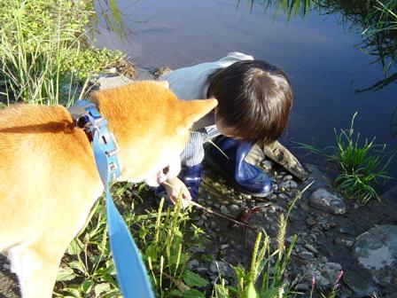 ザリガニとそうや