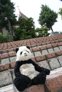 階段で佇むパンダ