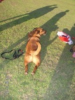 2005-08-19 20:13:34