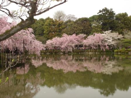京都２００８春 043.jpg