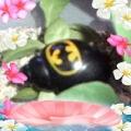バットマンヤド