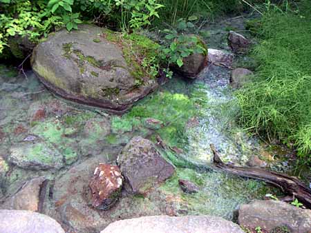 五色沼のお水